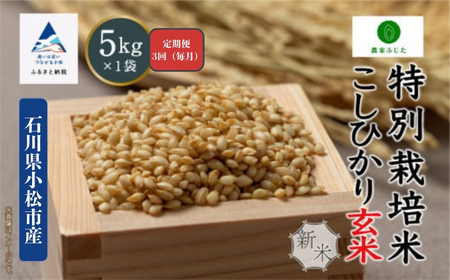 [定期便]コシヒカリ 5kg × 3回 令和7年産 特別栽培米 こしひかり 玄米(毎月) コメ お米 3ヵ月 3ヶ月 3か月 石川県 小松市[農家ふじた]