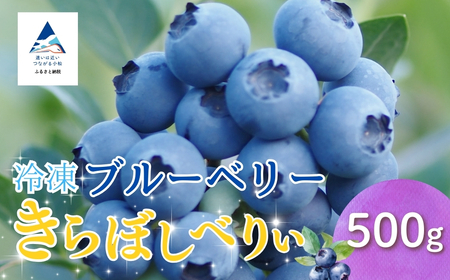 冷凍ブルーベリー500g
