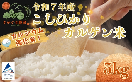令和7年産 こしひかりカルゲン米 5kg お米 白米 コシヒカリ | 石川県 小松市[坂口農園]