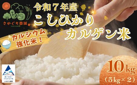 令和7年産 こしひかりカルゲン米 10kg(5kg×2) お米 白米 コシヒカリ | 石川県 小松市[坂口農園]