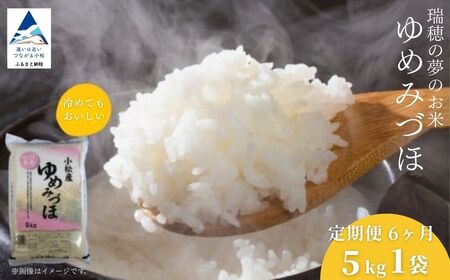 【先行予約】【定期便】 こしひかり 小松市産 ゆめみづほ 精米  5kg×6ヶ月（毎月）米 小松市産こしひかり 石川県【JA小松市】