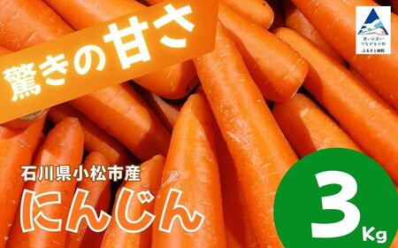 にんじん 3kg 人参 野菜 | 石川県 小松市 JAあぐり