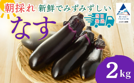 なす 2kg(20個以上) なす ナス 茄子 野菜 | 石川県 小松市 JAあぐり