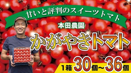 トマト 1箱 約30個〜36個 かがやき トマト [先行予約]令和8年