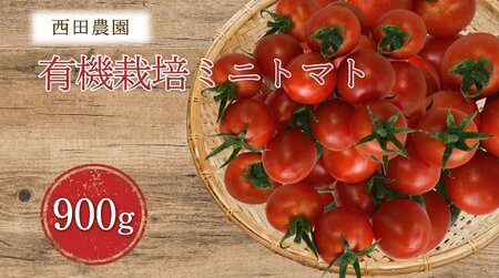 [先行予約]有機栽培ミニトマト 900g 6月〜順次配送 ミニトマト