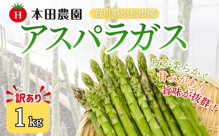 [先行予約]アスパラガス 1kg (訳アリ) 野菜 訳あり アスパラ | 石川県 小松市 本田農園