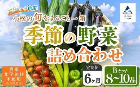 【定期便6ヶ月】季節の野菜詰め合わせ Bセット 野菜食べ比べ 旬の野菜 野菜セット 定期便 | 石川県 小松市【Kacchan.Farm】