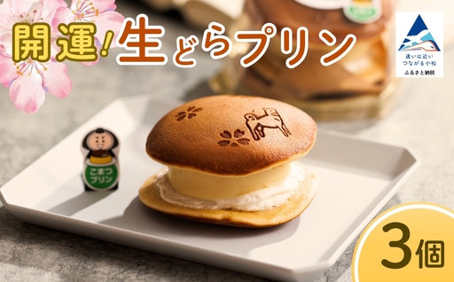 どら焼き 開運!生どらプリン 3個 どら焼き 石川県 小松市 [お菓子処マルニシ]