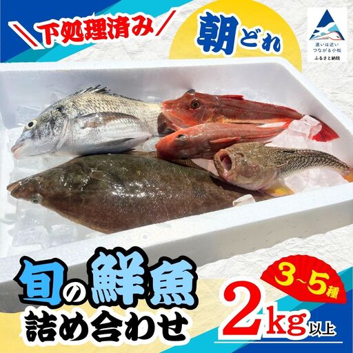 [下処理済み] 旬の鮮魚 詰め合わせ 2kg以上 (3〜5種) 安宅漁港 石川県 小松市