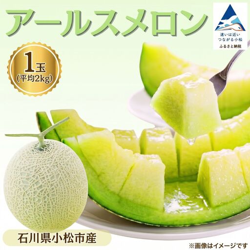 【先行予約】 アールスメロン 1玉 約2kg マスクメロン 青肉 石川県 小松市