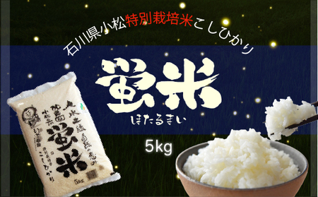 令和5年産[特別栽培米コシヒカリ]蛍米精米5kg 010013.