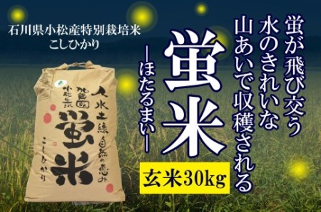 【特別栽培米コシヒカリ】蛍米玄米30kg