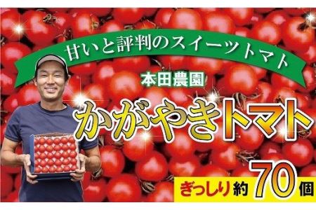 [人気のスイーツトマト]本田農園のかがやきトマト2箱(約70個) 014002