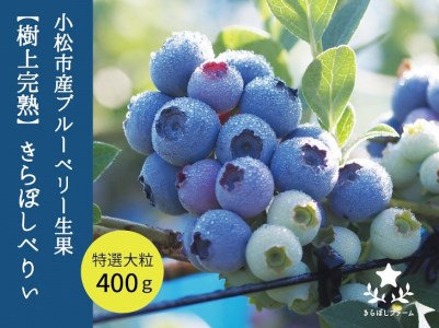 小松産ブルーベリー[きらぼしべりぃ]生果 400g 013021
