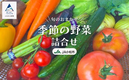 JA小松市 季節の野菜詰合せ 009044