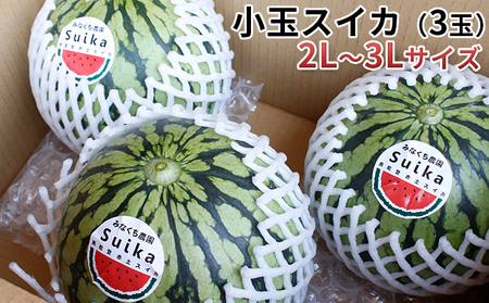 [在庫数限定]小玉スイカ(3玉)1玉約1.8kg〜2.8kg 果物類