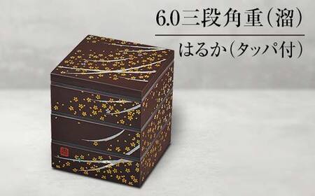 Rh 6.0Oipd  ͂邩 ^bpt Oid d   ٓ ^ sNjbN Ԍ 蕨 Mtg `H| H|i ABS { F6P-1315