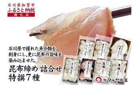 石川県・加賀市 昆布締め 刺身 おまかせ 7種 詰合せ 復興　震災　コロナ【能登半島地震復興支援】 北陸新幹線 F6P-1890