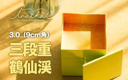 iroikoi 낢 3.0 9cmp Oid ߐk [  P[X  d  ANZT[P[X 蕨 Mtg G ABS { F6P-1324