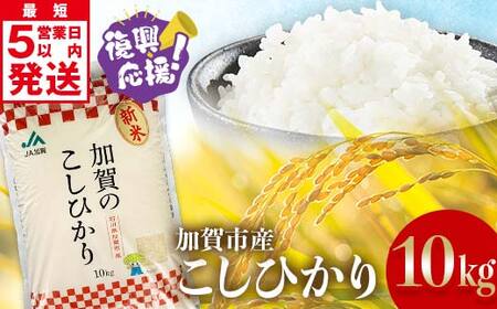 こしひかり 精米 10kg（5kg×2） 令和6年産 コシヒカリ 銘柄米 お米 米 ギフト 贈り物  グルメ 食品 復興 震災 コロナ 能登半島地震復興支援 北陸新幹線 F6P-2299