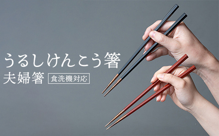 華正工房 うるしけんこう箸 食洗機対応 ペア (夫婦箸) 化粧箱入り F6P-1820