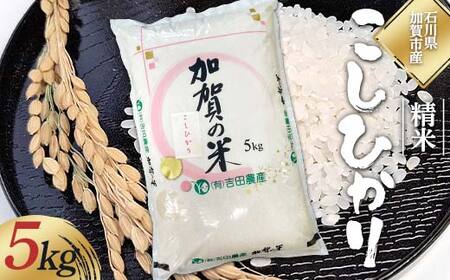 令和6年度 新米 こしひかり 精米 石川県加賀市産 5kg お米 米 国産米 ギフト 贈り物 グルメ 食品 国産 復興 震災 コロナ 能登半島地震復興支援 北陸新幹線