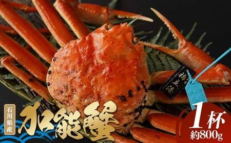 uΐ쌧Y^Ot\IiPtjv΂ F6P-1725