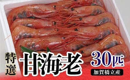 [特選]甘海老(30匹)加賀橋立産