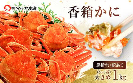ΐ쌧Y I  󂠂 傫 1kg 5`6C l 1216`1226 l䥂 Yn F6P-2775