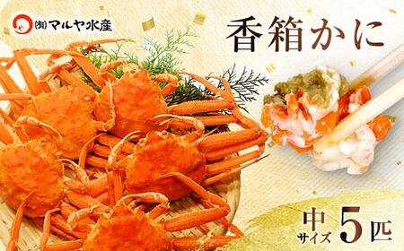 石川県産 香箱蟹 せいこ 中サイズ 5匹 詰合せ 12月16日〜12月26日発送