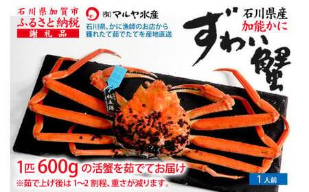 y1110`1215zys\zy①zΐ쌧Y \ YCKj ( Ynؖ^Ot ) 䥂ŏグOd 600g 1C TCY F6P-2747