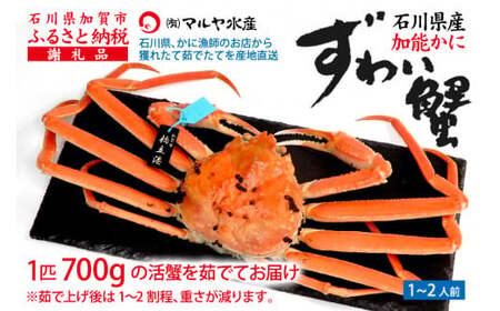 y120`331zys\zy①zΐ쌧Y \ YCKj ( Ynؖ^Ot ) 䥂ŏグOd 700g 1C TCY F6P-2752
