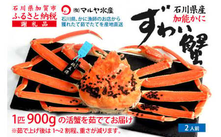 y1216`1226zys\zy①zΐ쌧Y \ YCKj ( Ynؖ^Ot ) 䥂ŏグOd 900g 1C TCY F6P-2757