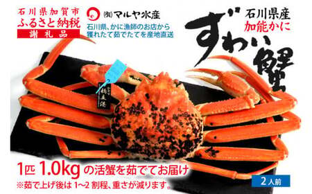 y1216`1226zys\zy①zΐ쌧Y \ YCKj ( Ynؖ^Ot ) 䥂ŏグOd 1.0kg 1C TCY F6P-2760