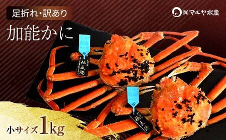 石川県産 加能かに ズワイガニ ( 産地証明タグ付 ) 訳あり 足折れ 小サイズ 2〜3匹 合計1.0kg 11月10日〜12月15日発送 産地証明 訳あり 家庭用 自宅用 足折れ 先行予約 予約 ブランド蟹 ボイル 茹で 蟹 復興 震災 コロナ 能登半島地震復興支援 北陸新幹線
