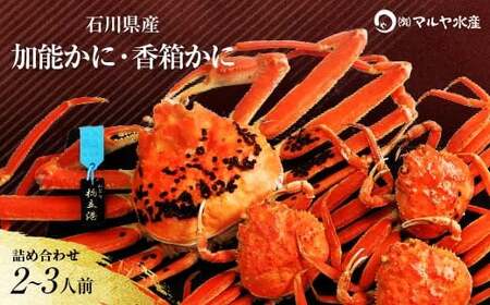 石川県産 加能かに/ズワイガニ ( 産地証明タグ付 ) 大サイズ 1匹 + 香箱かに 3匹 詰合せ ( 2〜3人前 ) 11月10日〜12月15日発送 食べ比べセット ズワイガニ