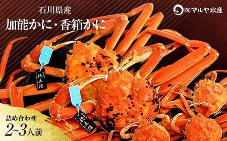 石川県産 加能かに ズワイガニ ( 産地証明タグ付 ) 中サイズ 2匹 + 香箱かに 3匹 詰合せ ( 2〜3人前 ) 11月10日〜12月15日発送 食べ比べセット ズワイガニ