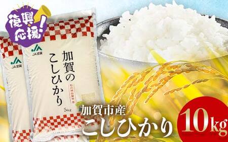 y11z ߘa7NYЂ 10kg(5kg×2)     Mtg 蕨 O Hi  k Ri \onk x kV F6P-2927