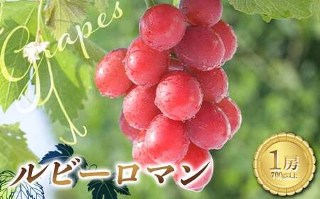 yIizr[} [ i700gȏjԂǂ  uhE  fU[g t[c ʕ  F6P-2833