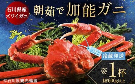 朝茹で加能ガニ姿1杯入り 蟹 かに ズワイガニ グルメ 海産物 贈り物 加賀