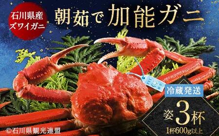 朝茹で加能ガニ姿3杯入り 蟹 かに ズワイガニ グルメ 海産物 贈り物 加賀