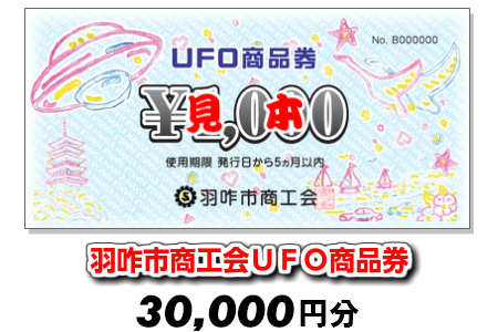 [G037] 羽咋市商工会UFO商品券（30,000円分）【現地利用限定】