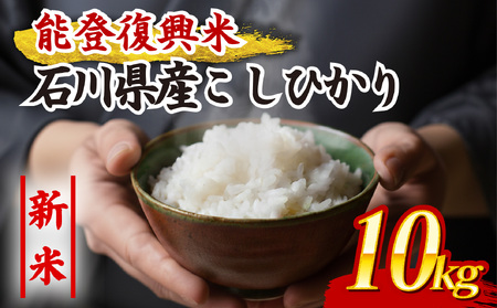 [令和7年産] 白米 こしひかり 10kg 白米