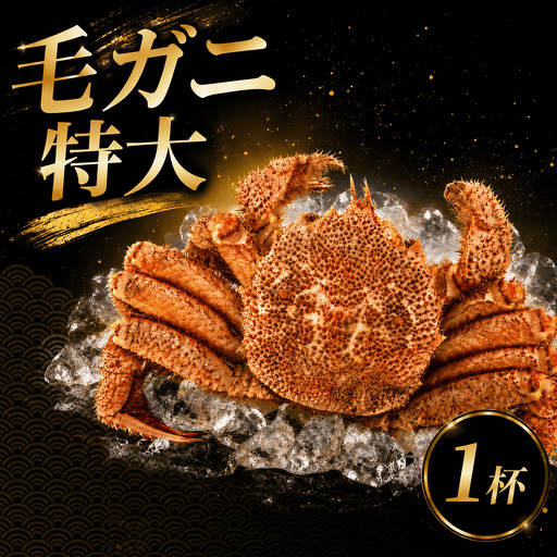 [ 2026年9月~10月発送 ] 姫丸の毛ガニ・特大 茹で上げ800g〜900g 1杯