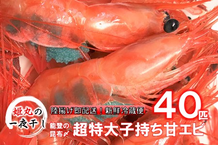 [D023] 【2025年1月?10月発送】獲れたて鮮度抜群！姫丸の子持ち甘エビ40匹丸ごと昆布〆