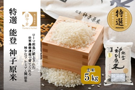 [A095] 【令和６年産】能登神子原米 ５kg（玄米）