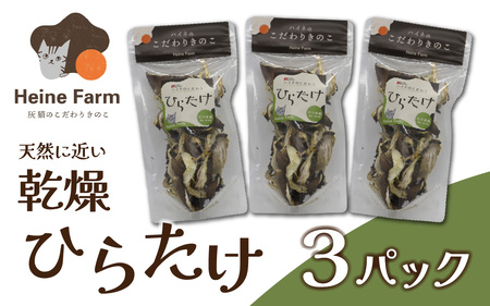灰猫のひらたけ(乾燥)