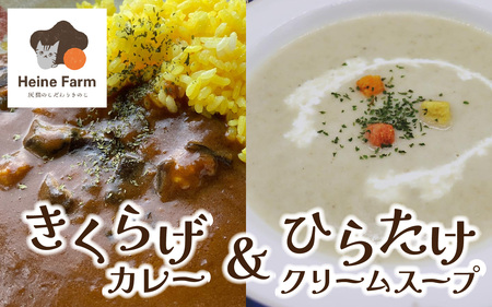 灰猫のきくらげカレー&ひらたけクリームスープのお試しセット
