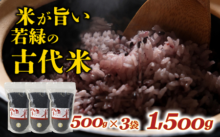 若緑の古代米 500g×3袋 計1.5kg / こめ 米 おこめ 黒米 ご飯 国産 栄養 アントシアニン 常温 雑穀米 紫黒米 送料無料