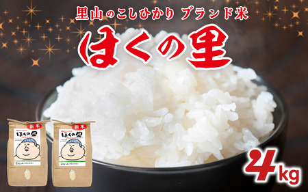[先行予約]里山のこしひかり ほくの里 2kg × 2袋 計4kg[11月配送]| 新米 令和7年産 コシヒカリ お米 コメ こめ 4キロ 白米 精米 国産